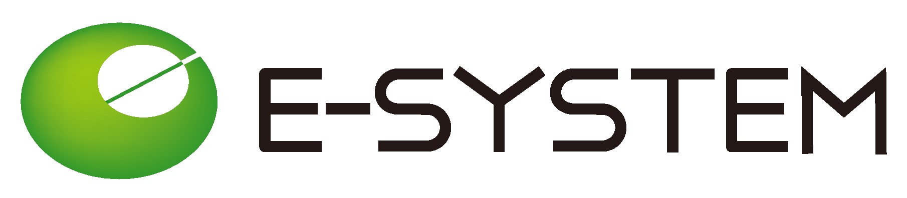 E-SYSTEM